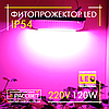Фітопрожектор світлодіодний Sunlight 120Вт 220В IP54 364x166x60мм (LED 120W повного спектру), фото 6