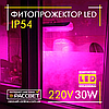 Фітопрожектор світлодіодний Sunlight 30Вт 220В IP54 250x125x50мм (LED 30W повного спектру), фото 7