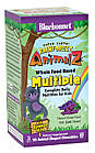Мультивітаміни для дітей (Rainforest Animalz Multiple) з різними смаками
