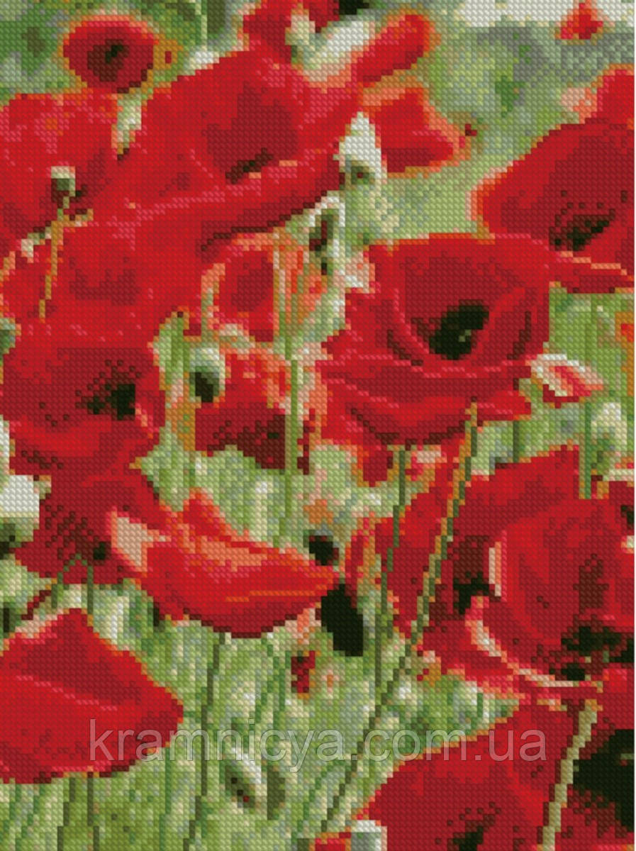 Алмазна мозаїка Макове поле, 30х40 Strateg (HX124), фото 1