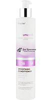 Кондиционер для выпрямления волос Bio Smooth Smoothing Conditioner BS16 Erayba, 250 мл