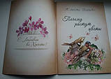 Чому зростають квіти. Жаннета Зайцева(рос.), фото 2