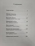 Аж поки Ти прийдеш. Е. Лихачова, фото 4