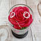 Троянди в колбі з LED підсвічуванням червоні / Троянди в скляній колбі / Троянди в колбі під скляним куполом, фото 6