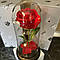 Троянди в колбі з LED підсвічуванням червоні / Троянди в скляній колбі / Троянди в колбі під скляним куполом, фото 8