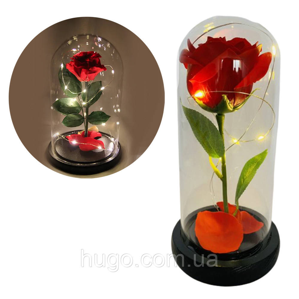 Троянди в колбі з LED підсвічуванням червоні / Троянди в скляній колбі / Троянди в колбі під скляним куполом, фото 1
