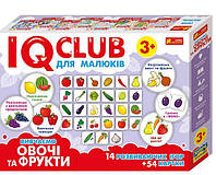 Развивающая игра IQ club, Ранок Изучаем овощи и фрукты, 14 игр, 54 карточки