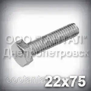 Болт М22х75 міцність 8.8 оцинкований DIN 933 (ГОСТ 7805-70, ГОСТ 7798-70), фото 1