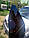Мухобойка, дефлектор капота Mitsubishi Lancer X 2007-2010 (Hic), фото 3