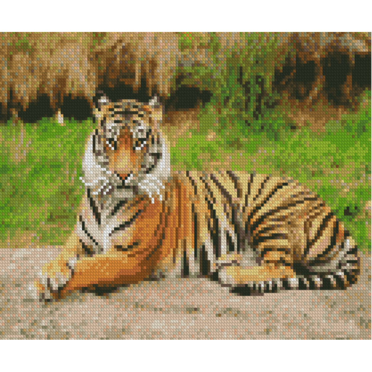 Алмазна картина HX234 Гарний тигр, 30х40см Strateg на підрамнику, у подарунковій упаковці