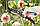 Секатор садовий Gardena Comfort B/M (08904-20.000.00), фото 3