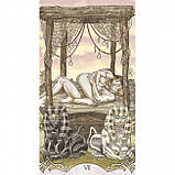 Таро Эротических Фантазий — Erotic Fantasy Tarot. Lo Scarabeo Оригинал, фото 6