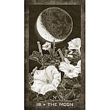 Таро Элементов Новой Эры - New Era Elements Tarot. U.S. Games Systems, фото 5