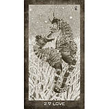 Таро Элементов Новой Эры - New Era Elements Tarot. U.S. Games Systems, фото 7