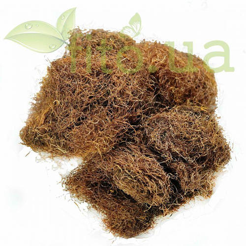 Кукурузные рыльца 50 гр. (ID#1621067102), цена: 25 ₴, купить на Prom.ua