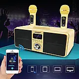 SDRD SD-309 караоке система з колонкою та двома мікрофонами — Золото, фото 4