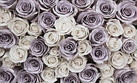 Фотообои флизелиновые 3D цветы 254х184 см Пастельные розы (1626V4) Клей в подарок