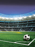 Флизелиновые фото обои футбольный стадион 206x275 см 3Д Спорт Мяч (1914VEA) Клей в подарок