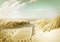 Море фотообои 368х254 см 3D Светлая дорога на пляж (11600P8) Клей в подарок