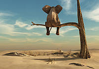 Флизелиновые 3D фото обои на стену животные 368х254 см Слон на дереве (11898V8) Клей в подарок