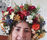 Віночок український, фото 2