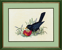 Набор для вышивания "Черная птица и яблоко(Black bird & apple)" Eva Rosenstand