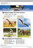 Guess What! 1 Activity Book with Online Resources / Робочий зошит, фото 8