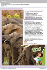 Guess What! 1 Teachere's Book with DVD / Книга для вчителя, фото 3