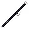 Нашийник Ring of Humiliti, Smooth Black, фото 3