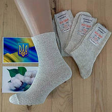 Шкарпетки чоловічі літні, 100% бавовна, із сіткою Житосвіт 25 р