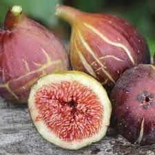 Інжир "Фіолетовий Абхазський", фото 1