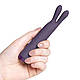 Силіконовий вібратор для клітора та сосків Je Joue Rabbit Bullet Vibrator Purple, фото 9