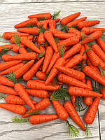 Штучна морква.Муляж моркви (міні), фото 5
