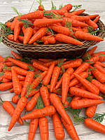 Штучна морква.Муляж моркви (міні), фото 2
