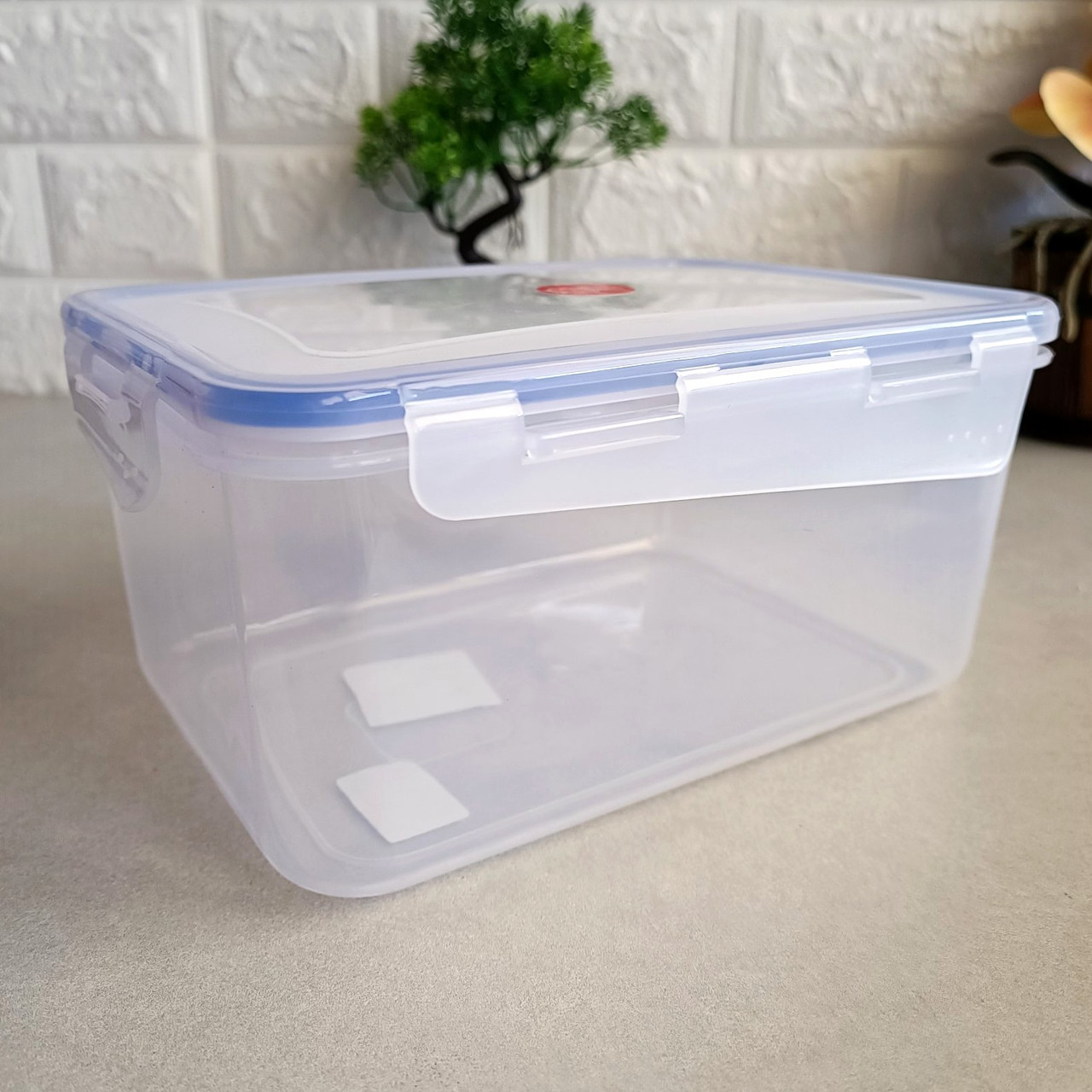 Великий прозорий харчовий контейнер 1.54л Фієста Алеана