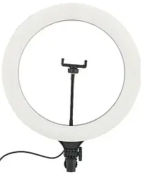 Кільцева LED лампа A390 (1 крепл.тел.) (пульт) 39 см, Кільцевої світло, Світлова лампа кільце