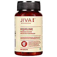 Экуилайн Джива Аюрведа 120таб., Jiva Ayurveda Equiline, для нормализации кровяного давления, Аюрведа Здесь!