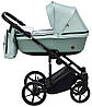 Коляска 2 в 1 Adamex Amelia Tip AM260, фото 5