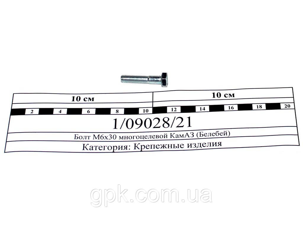 Болт М6х30 многоцелевой КамАЗ (Белебей) 1/09028/21 - фото 2 - id-p1621930687