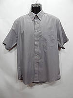 Мужская рубашка с коротким рукавом Golf mens club р.50 030ДРБУ (только в указанном размере, только 1 шт)