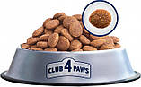 Сухий корм для дорослих собак Club 4 Paws (Клуб 4 Лапи) Преміум Ягня і Рис 2 кг, фото 4