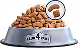 Сухий корм для дорослих собак Club 4 Paws (Клуб 4 Лапи) Преміум для середніх порід 2 кг, фото 3