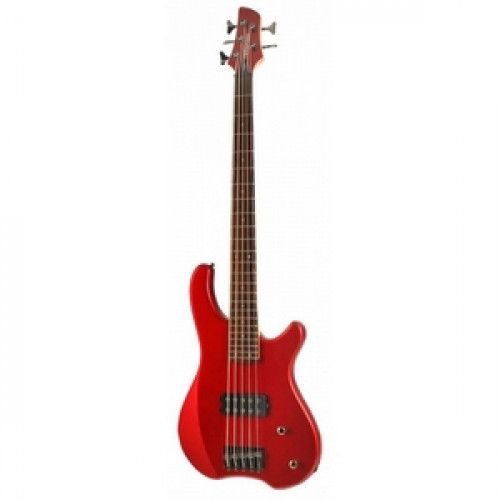 Бас-гітара FERNANDES Tremor 5X MTR