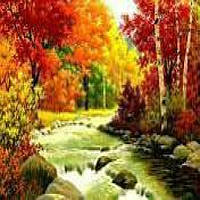 Алмазна мозаїка по номерах Осенній ліс на берегах річки в рулоні, стрази. Розмір: 30*40 см (УТ 100025933)