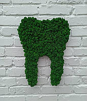 Зуб-логотип з моху на стіну. Декор в стоматологію. Подарунок стоматологу