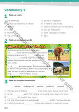 Now I Know 4 Workbook with App (Jennifer Heath) Pearson / Робочий зошит, фото 4