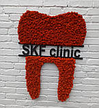 Декор в стоматологію. Логотип стоматолога, стоматологічної клініки. Зуб з моху на стіну 1 м, фото 3