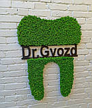 Декор в стоматологію. Логотип стоматолога, стоматологічної клініки. Зуб з моху на стіну 1 м, фото 4