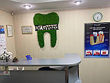 Декор в стоматологію. Логотип стоматолога, стоматологічної клініки. Зуб з моху на стіну 1 м, фото 6