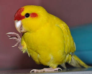 Анасы мен қызы порно Ана ұлы секс порно Ресей